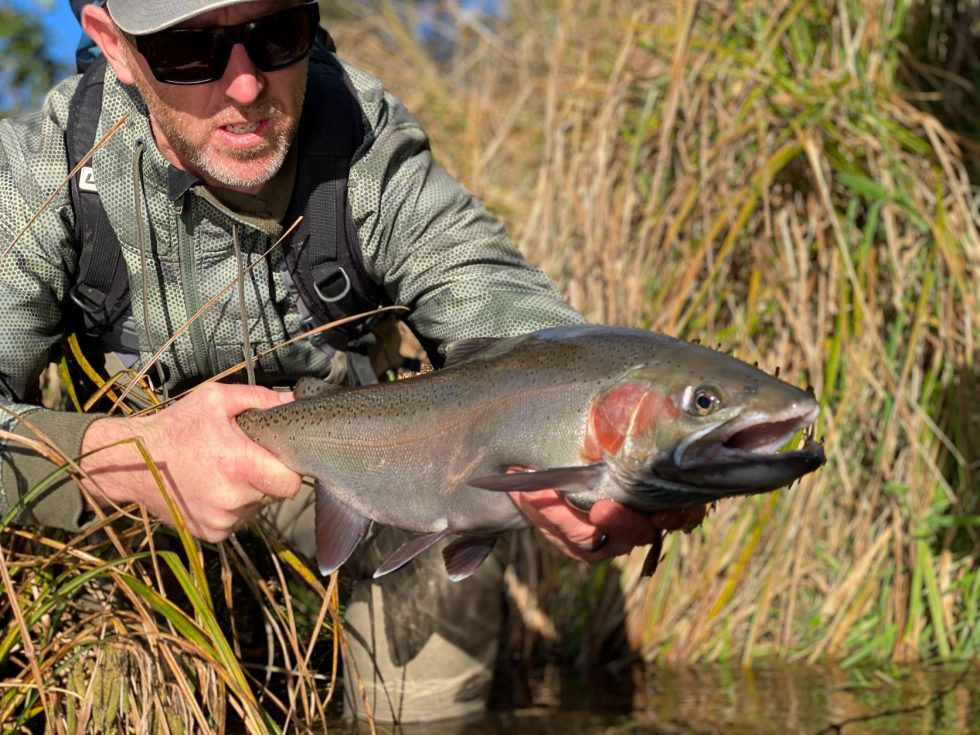 Orvis endorsed Fly Fishing Guide With A Rainbow Trout In Taupo New Zealand