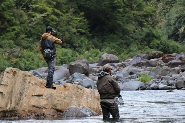 Best Fly Fishing Guides In The Taupo Rivers Fishing For Wild Trout