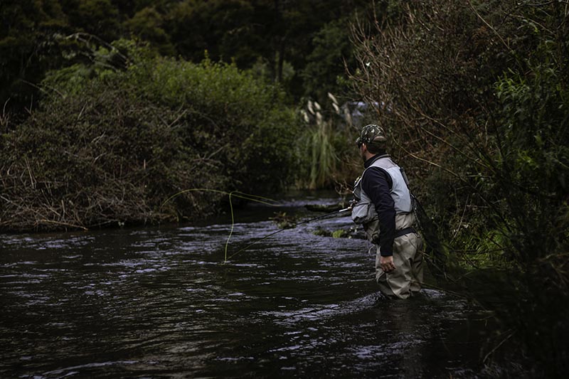 Fly Fishing In Taupo, New Zealand, A World Renowned Fishery For Rainbow And Brown Trout