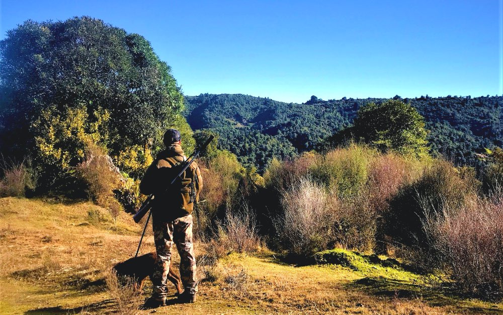 Guided Hunting With Dog In Central North Island New Zealand