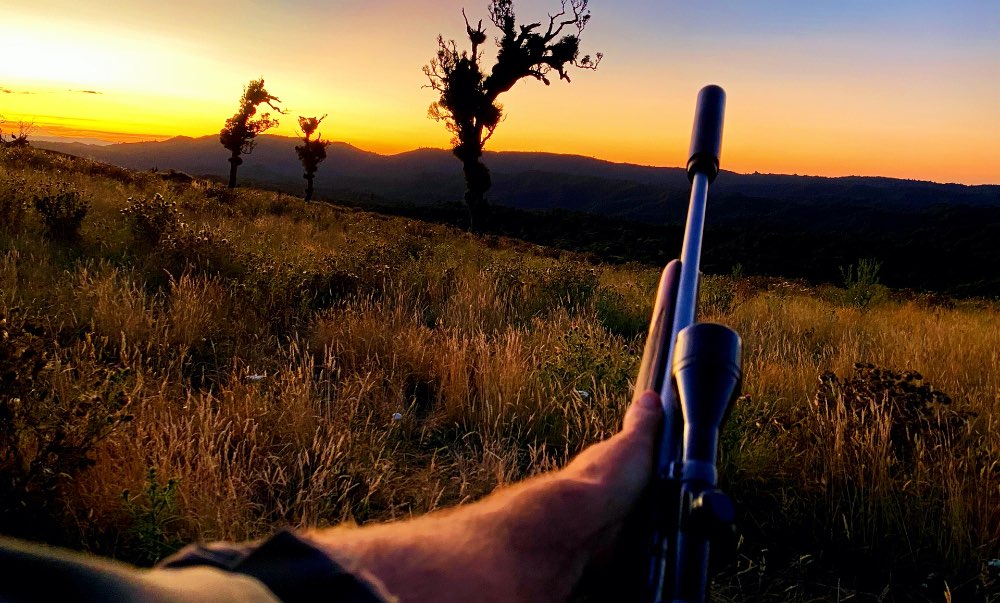 Taupo Guided Hunting With Chris Jolly Outdoors