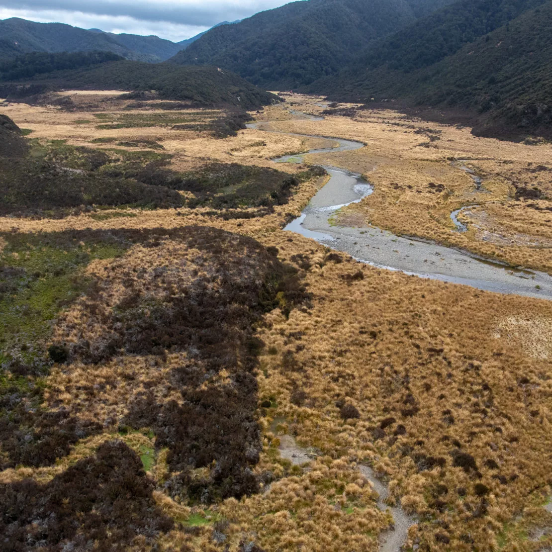 Valley in owhaoko NZ