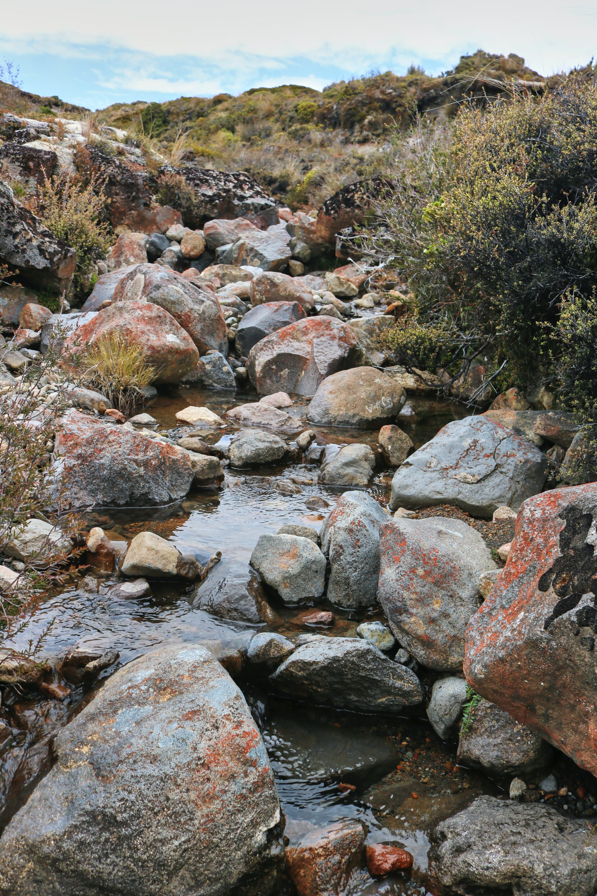 Mountain Stream near Lake Taupo