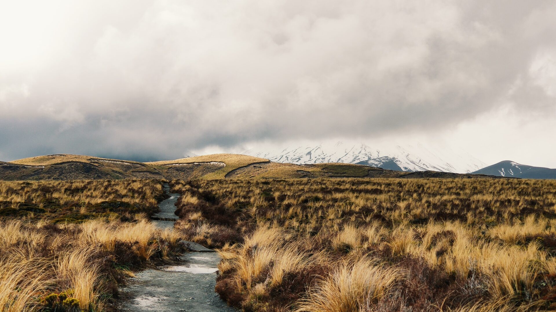 The Central Plateau New Zealand
